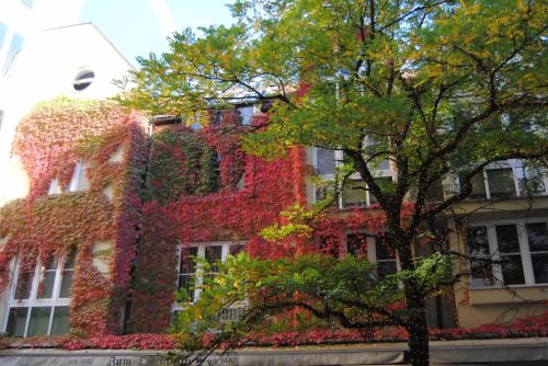 Fotografia de sky - Galeria Fotografica: lo mas bonito - Foto: fases