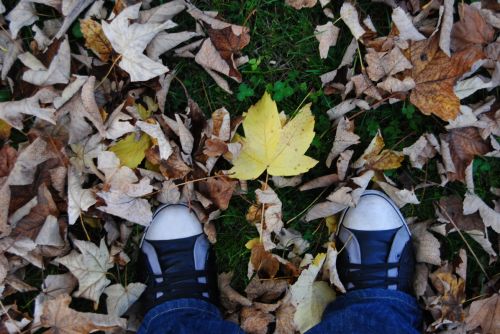 Fotografia de sky - Galeria Fotografica: lo mas bonito - Foto: hi soc