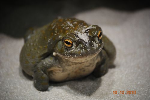 Fotografia de sky - Galeria Fotografica: lo mas bonito - Foto: princep