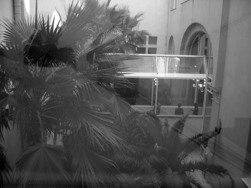 Fotografia de Antonio Marset - Galeria Fotografica: FotoGrafismos dos - Foto: Escalera del MNAC (Barcelona) 2005