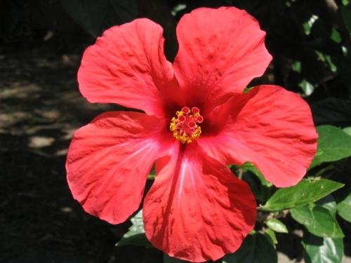 Fotografia de leignorant - Galeria Fotografica: sobre las escalas, reflejos y montajes naturales - Foto: Primer plano