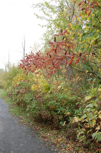 Fotografia de Esteban - Galeria Fotografica: El Bosque - Foto: 