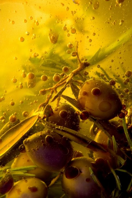 Fotografia de Luis Maria de Pazos Salmeron - Galeria Fotografica: vino rosado - Foto: Acite de oliva y vingre de vino