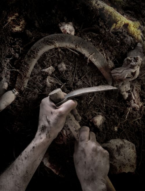 Fotografia de Luis Maria de Pazos Salmeron - Galeria Fotografica: vino rosado - Foto: Trabajo en el campo