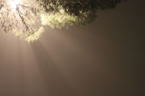 Fotografia de Pat Edmundson - Galeria Fotografica: Seleccion - Foto: 