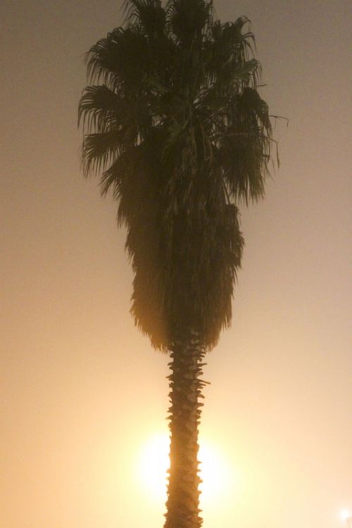 Fotografia de Pat Edmundson - Galeria Fotografica: Seleccion - Foto: 