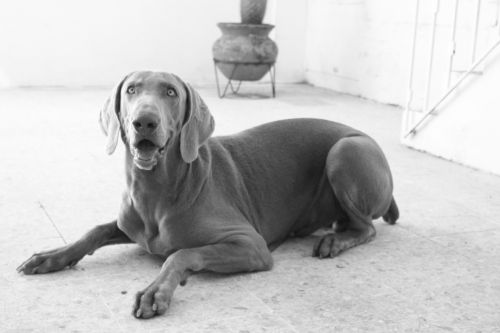 Fotografia de CarlosYCh - Galeria Fotografica: Variado - Foto: 