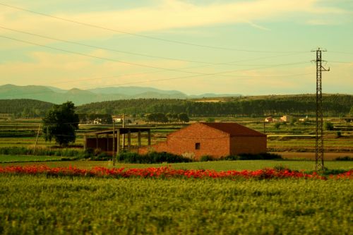 Fotografia de Mariel de Paulis - Galeria Fotografica: Paisajes - Foto: 