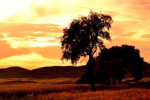 Fotografia de Mariel de Paulis - Galeria Fotografica: Paisajes - Foto: 