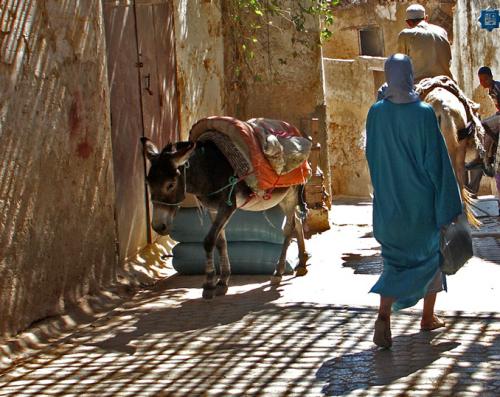 Fotografia de Raul  Drehsel - Galeria Fotografica: Marruecos - Foto: 
