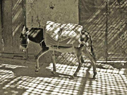 Fotografia de Raul  Drehsel - Galeria Fotografica: Marruecos - Foto: 