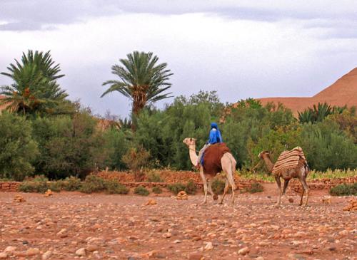 Fotografia de Raul  Drehsel - Galeria Fotografica: Marruecos-3 - Foto: 