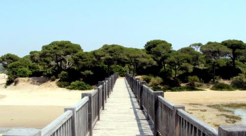 Fotografia de Santaolalla - Galeria Fotografica: desde la orilla - Foto: puente de madera sobre ro San pedro