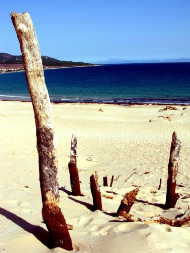 Fotografia de Santaolalla - Galeria Fotografica: desde la orilla - Foto: A merced del Levante