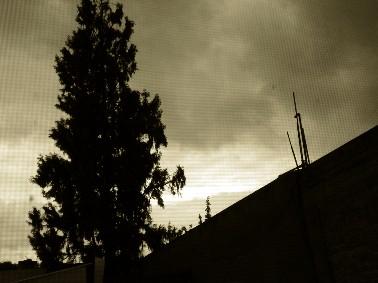 Fotografia de Florencia Valeria - Galeria Fotografica: Naturaleza... - Foto: Cielo Amarillo