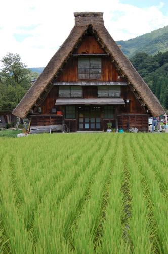 Fotografia de Izquierdo - Galeria Fotografica: Viatge Jap I - Foto: Shirakawago 4