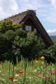Fotos de Izquierdo -  Foto: Viatge Jap I - Shirakawago 5
