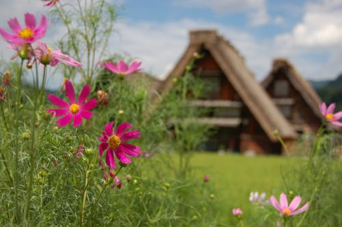 Fotografia de Izquierdo - Galeria Fotografica: Viatge Jap I - Foto: Shirakawago 6