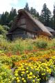 Fotos de Izquierdo -  Foto: Viatge Jap I - Shirakawago 10