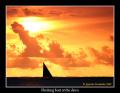 Fotos de Agustin Fernandez -  Foto: Zanzibar Brushstrokes - Fhising boat at Dawn