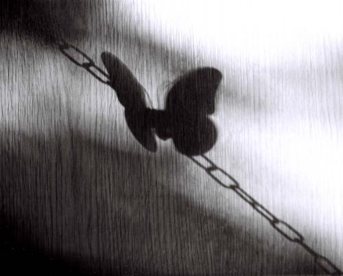 Fotografia de GODisGAY - Galeria Fotografica: ..LibeRTaD.. - Foto: El peso de tus sueos no te deja despeGaR