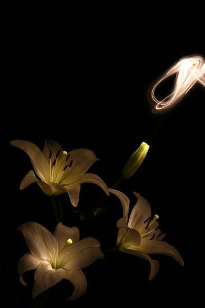 Fotografia de Hiram.M.Beivide - Galeria Fotografica: fotografias para agencia oulala! - Foto: www.oulala.com.mx