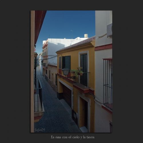 Fotografia de Sofa - Galeria Fotografica: En rima con el cielo y la tierra - Foto: 