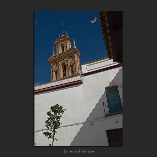 Fotografia de Sofa - Galeria Fotografica: En rima con el cielo y la tierra - Foto: 