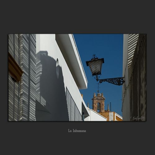 Fotografia de Sof�a - Galeria Fotografica: En rima con el cielo y la tierra - Foto: 