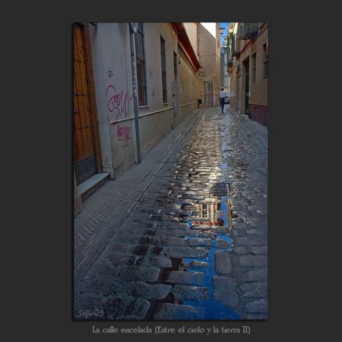 Fotografia de Sof�a - Galeria Fotografica: En rima con el cielo y la tierra - Foto: 