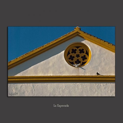 Fotografia de Sofa - Galeria Fotografica: En rima con el cielo y la tierra - Foto: 