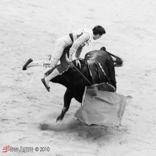 Fotografia de Isaac Ferrera - Fotografo - Galeria Fotografica: Taurinas - Foto: 