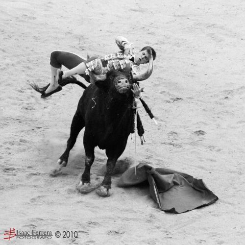 Fotografia de Isaac Ferrera - Fotografo - Galeria Fotografica: Taurinas - Foto: 