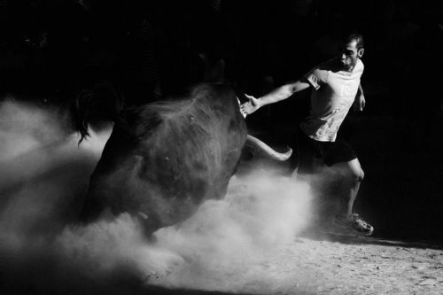 Fotografia de Isaac Ferrera - Fotografo - Galeria Fotografica: Taurinas - Foto: 