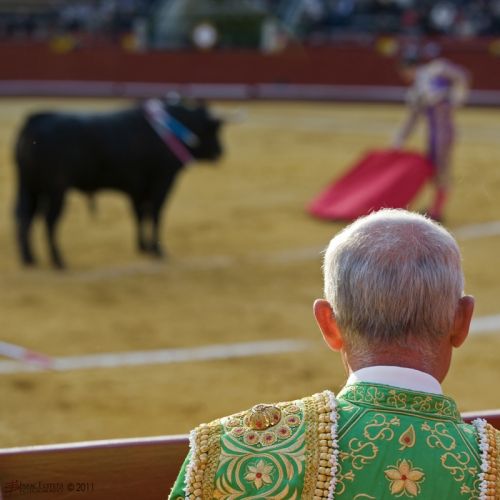 Fotografia de Isaac Ferrera - Fotografo - Galeria Fotografica: Taurinas - Foto: 