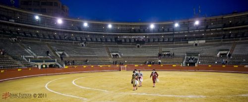 Fotografia de Isaac Ferrera - Fotografo - Galeria Fotografica: Taurinas - Foto: 