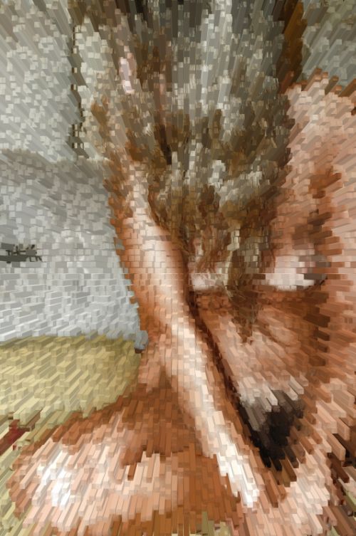 Fotografia de YAYO - Galeria Fotografica: YAYO - Foto: 