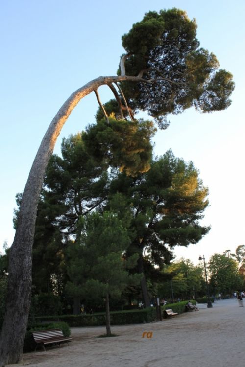 Fotografia de Ramon Alva - Galeria Fotografica: naturaleza - Foto: 