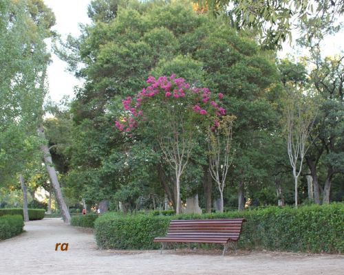 Fotografia de Ramon Alva - Galeria Fotografica: naturaleza - Foto: 