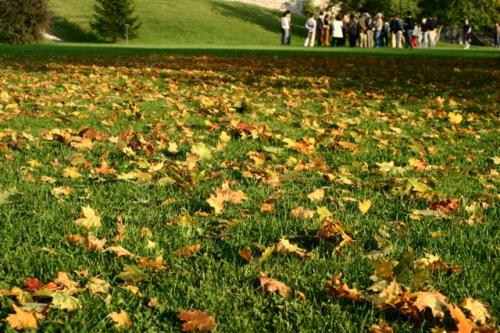 Fotografia de Iker - Galeria Fotografica: Finlandia y pa�ses b�lticos - Foto: Jardines del castillo de Turku, Finlandia