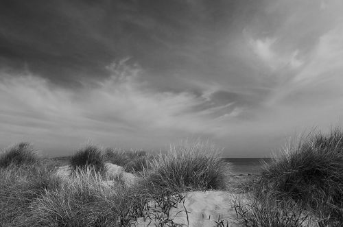 Fotografia de Christian Frolich Photography - Galeria Fotografica: Paisajes Blanco y Negro - Foto: Dunes 4