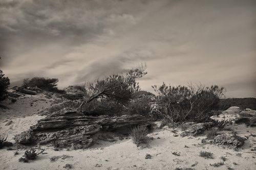 Fotografia de Christian Frolich Photography - Galeria Fotografica: Paisajes Blanco y Negro - Foto: Dunes 1