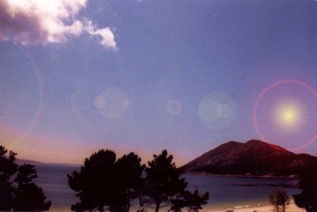 Fotografia de SABILA - Galeria Fotografica: a heira - Foto: 