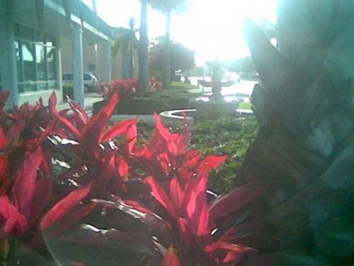 Fotografia de DEL VALLE - Galeria Fotografica: Jardin del Duende - Foto: 