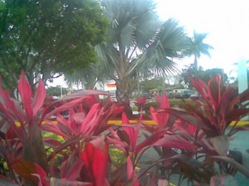 Fotografia de DEL VALLE - Galeria Fotografica: Jardin del Duende - Foto: 