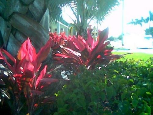 Fotografia de DEL VALLE - Galeria Fotografica: Jardin del Duende - Foto: 