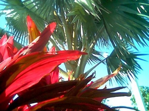 Fotografia de DEL VALLE - Galeria Fotografica: Jardin del Duende - Foto: 