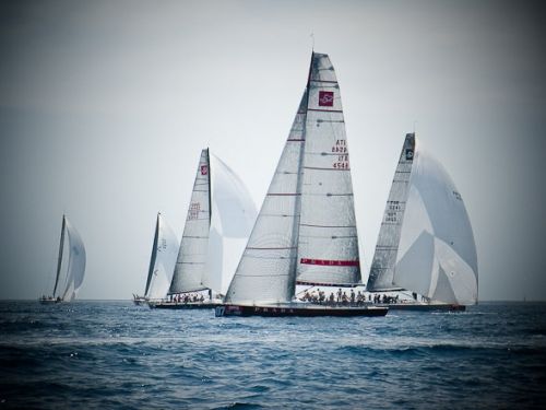 Fotografia de Amalia Infante - Galeria Fotografica: Vela Nautica Sailing - Foto: 