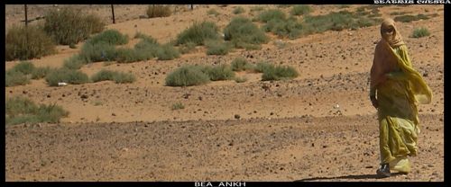 Fotografia de ANKH - Galeria Fotografica: Paseo caluroso - Foto: Sahara