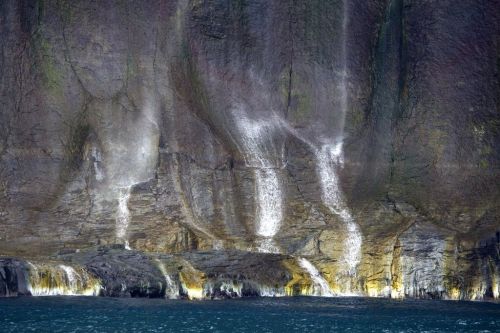 Fotografia de c3 - Galeria Fotografica: JAP�N - Foto: 